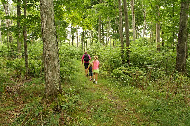 the overlook trail